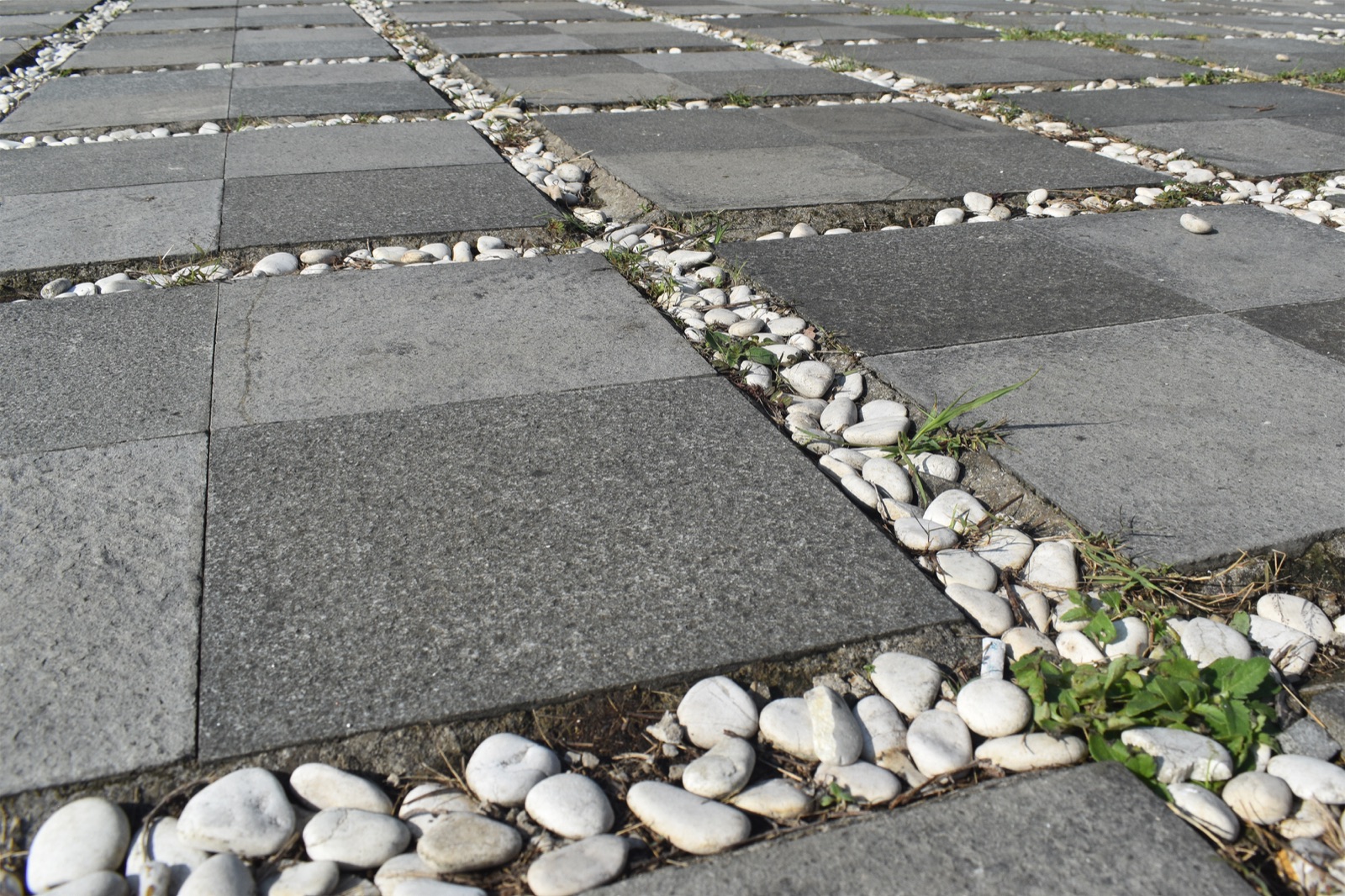 Paver Walkways